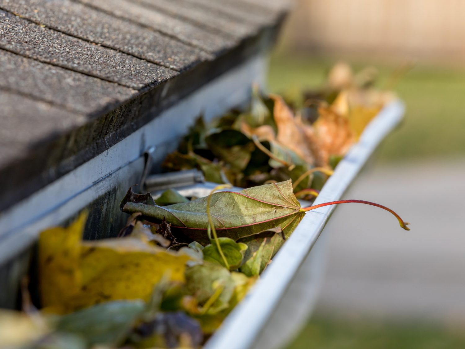 Leaves and debris collected inside a roof gutter